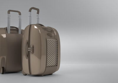 Carlton Consumer Luggage Range